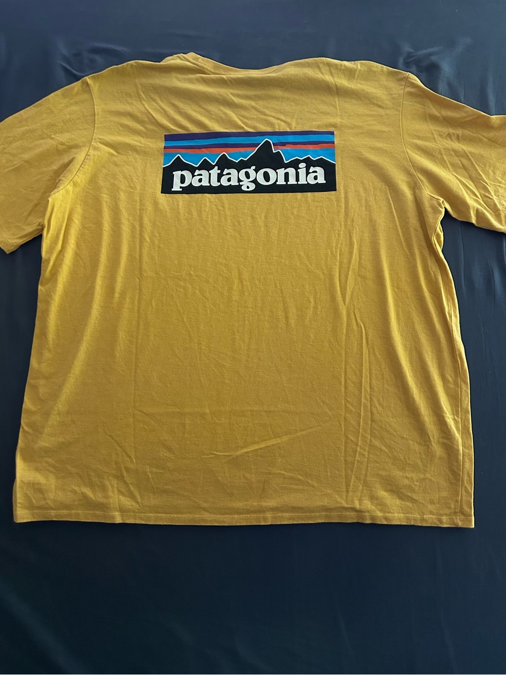 Patagonia Mustard Yellow Tee
